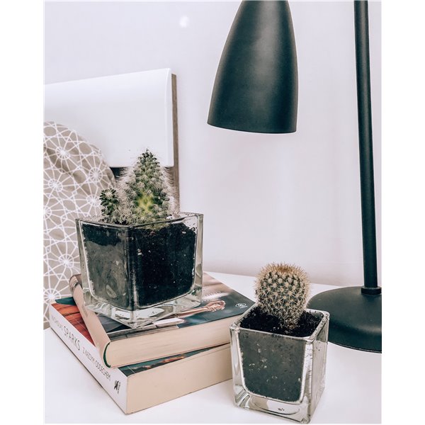 Pojemnik kwadrat 6x6x6