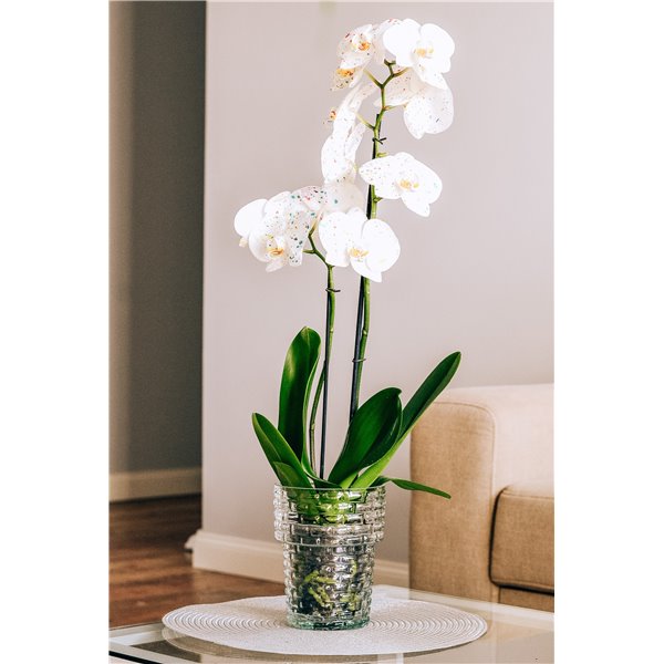 Doniczka na storczyki