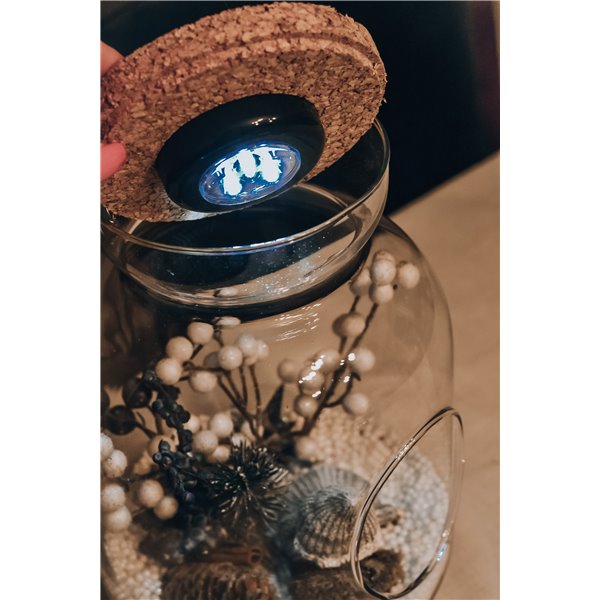 Podświetlany słoik do tworzenia lasów w szle