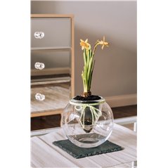 Szklana kula do aranżacji