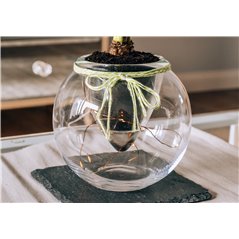 Szklana kula do aranżacji