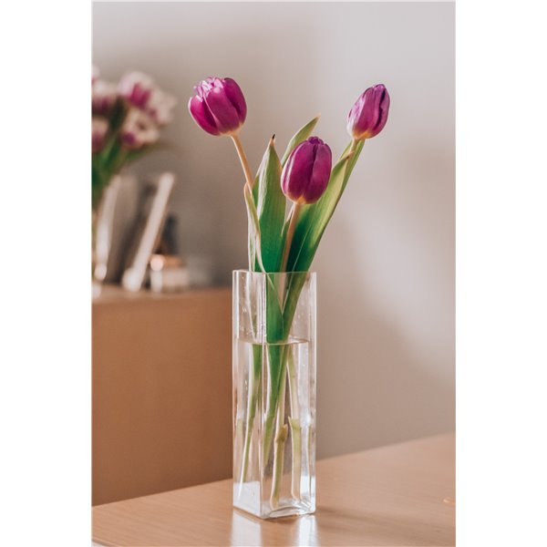 Wąski wazon prostokąt 20 cm