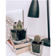 Pojemnik kwadrat 8x8x8